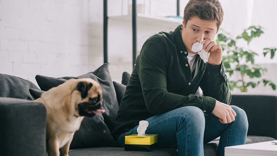 Purchasing an air purifier is one of the best methods to improve your house’s indoor air quality. Find out more about the three smartest products. 